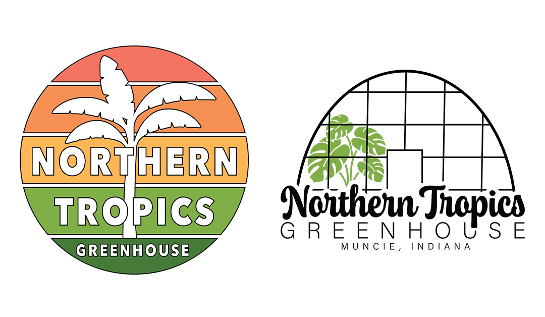 Rooted in Passion: Bringing Northern Tropics Greenhouse’s Story to Life