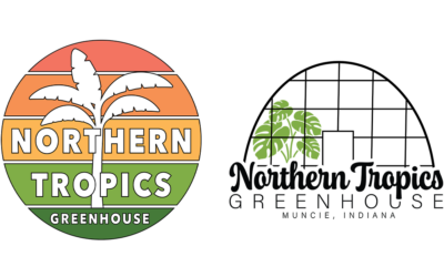 Rooted in Passion: Bringing Northern Tropics Greenhouse’s Story to Life